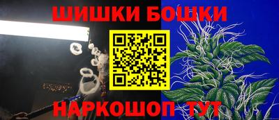 индика Гусиноозёрск