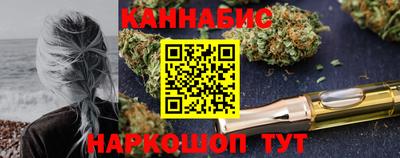мдпв Гусев