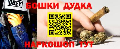 индика Гусиноозёрск