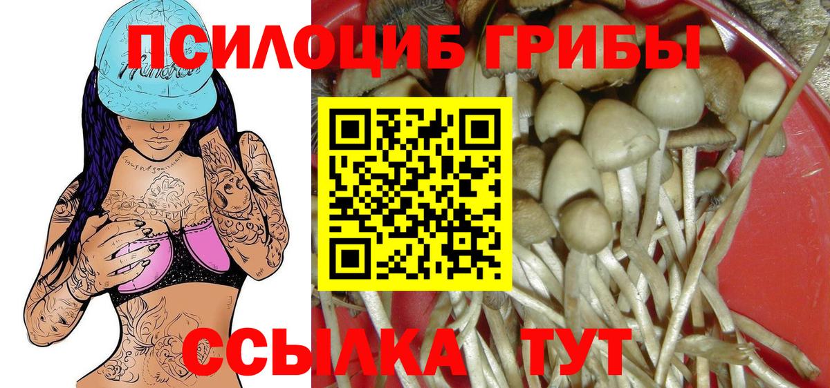 Галлюциногенные грибы MAGIC MUSHROOMS Михайловка