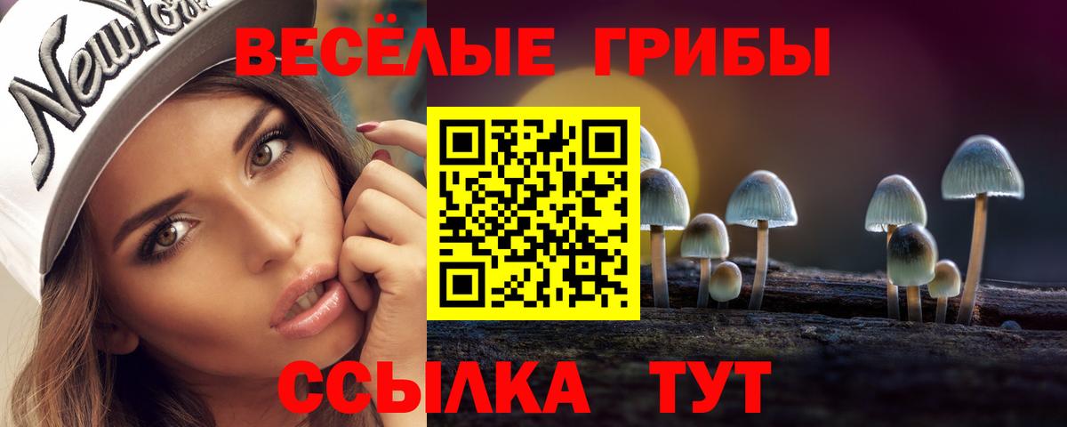 Псилоцибиновые грибы прущие грибы  Галлюциногенные грибы мухоморы  Михайловка  Вход с VPN 